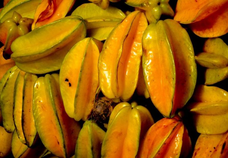 Manfaat Buah Belimbing bagi Ibu Hamil